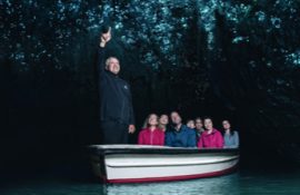 WAITOMO GLOWWORM CAVES