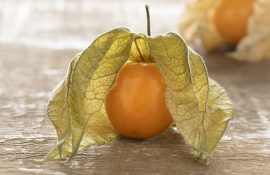 Single fresh Cape gooseberry, Physalis Peruviana, with husk on wooden background  close up